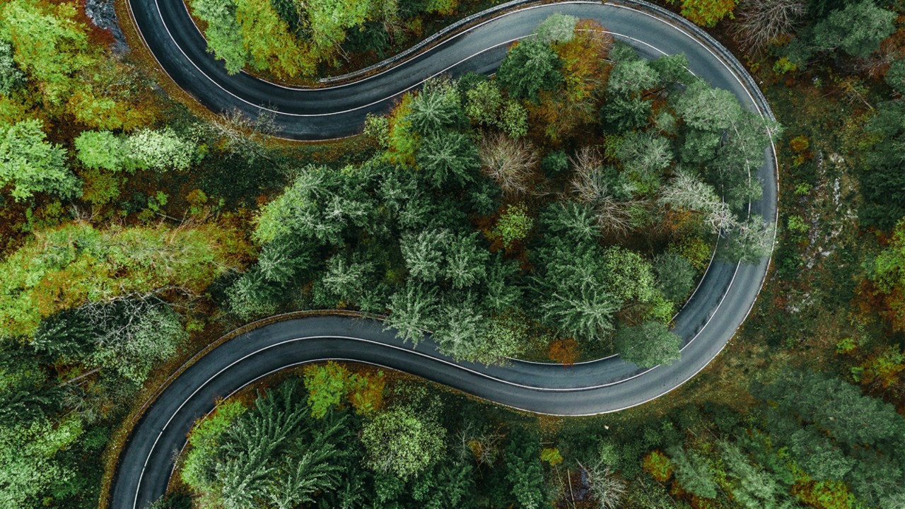 Strada sinuosa che attraversa una foresta verde